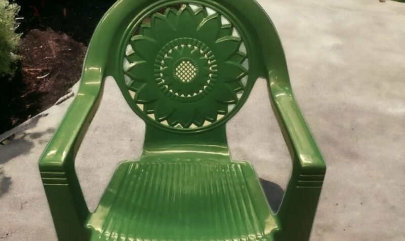 WhatsApp Image 2026-02-24 at 6.33.35 PM (1)